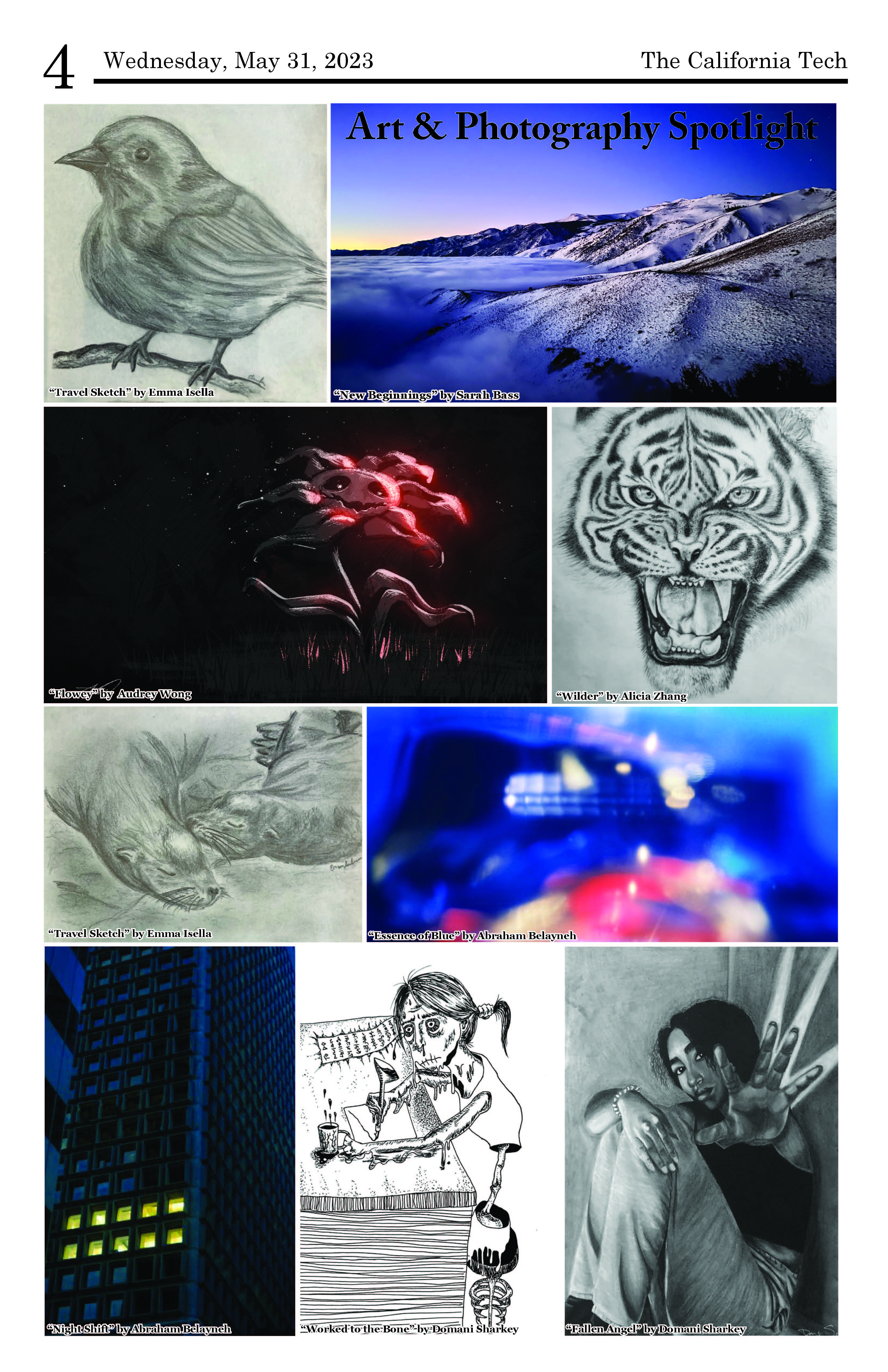 Art and Photography Spotlight (May 31, 2023)