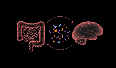 Gut Feelings: How Microbes Might Be Shaping the Mind—and More