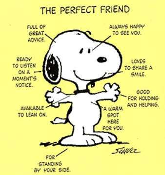 On the Philosophy of Happiness IV